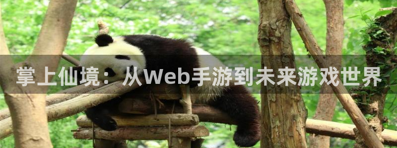 庄闲最稳公式：掌上仙境：从Web手游到未来游戏世界