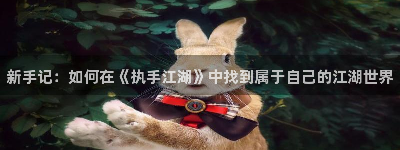 扑克牌庄闲的玩法种类：新手记：如何在《执手江湖》中找到属于自