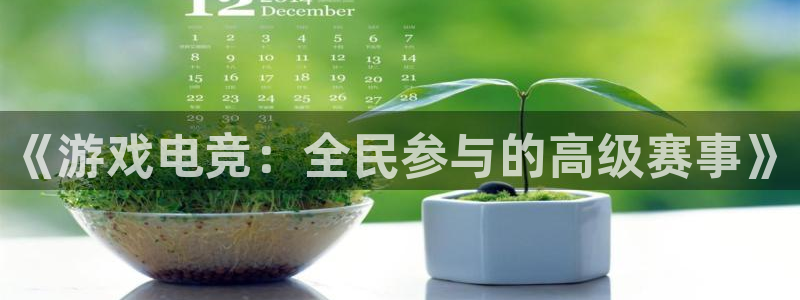 庄闲游戏官网入口：《游戏电竞：全民参与的高级赛事》
