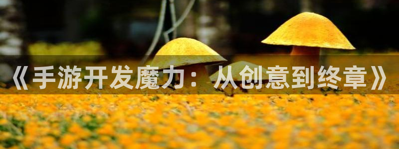 庄闲游戏网站：《手游开发魔力：从创意到终章》