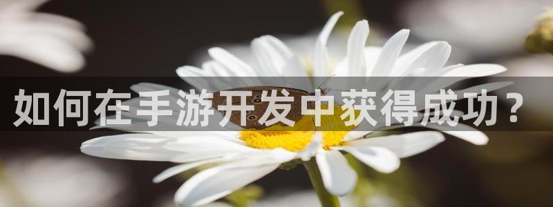 庄闲和游戏有限公司：如何在手游开发中获得成功？