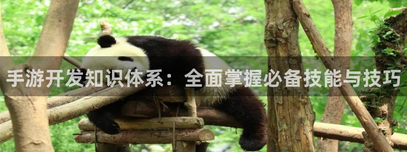 庄闲下载：手游开发知识体系：全面掌握必备技能与技巧