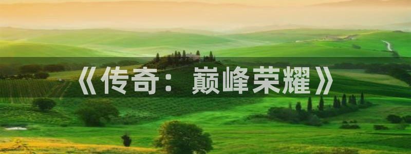 庄闲游戏机