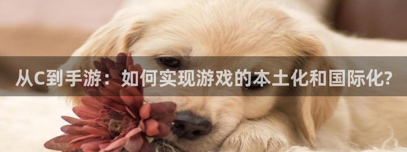 庄闲游戏有多少组合：从C到手游：如何实现游戏的本土化和国际化