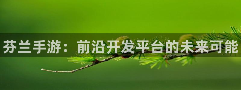 庄闲游戏玩法：芬兰手游：前沿开发平台的未来可能