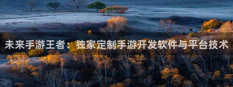 庄闲游戏怎么玩：未来手游王者：独家定制手游开发软件与平台技术