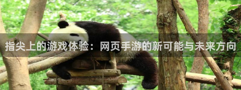 庄闲游戏平台：指尖上的游戏体验：网页手游的新可能与未来方向