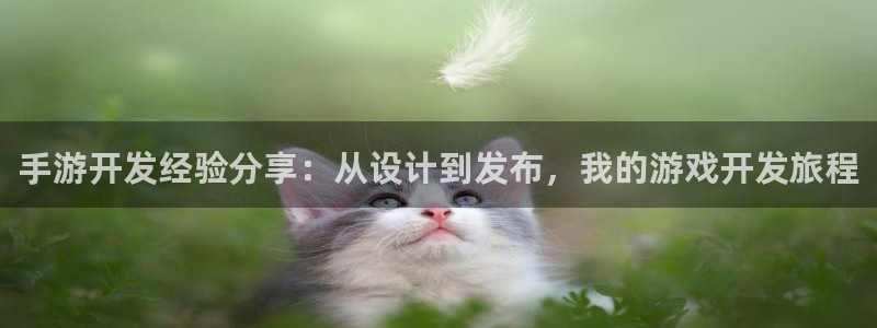 庄闲玩法叫：手游开发经验分享：从设计到发布，我的游戏开发旅程