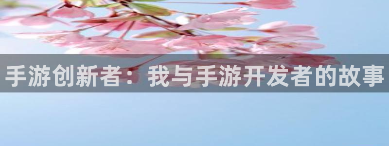 庄闲的游戏规则：手游创新者：我与手游开发者的故事