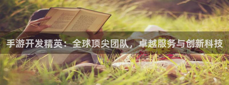 澳门庄闲网站游戏：手游开发精英：全球顶尖团队，卓越服务与创新