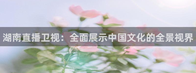 斗球直播nba下载：湖南直播卫视：全面展示中国文化的全景视界