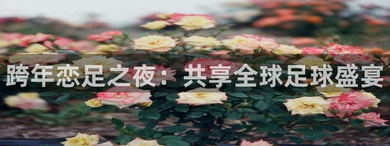 体育直播斗球：跨年恋足之夜：共享全球足球盛宴