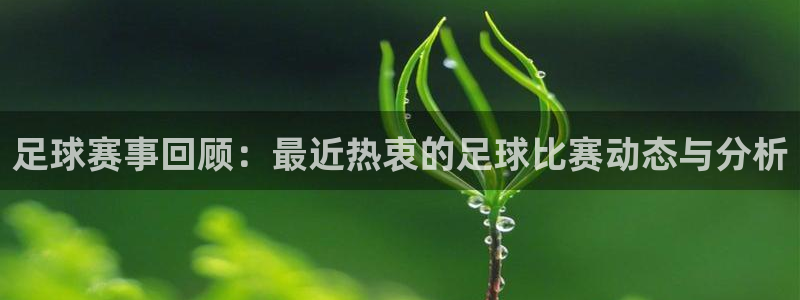 斗球体育直播下载app：足球赛事回顾：最近热衷的足球比赛动态与分析