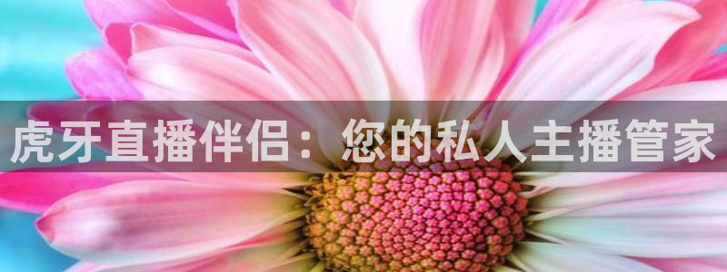 斗球app免费下载：虎牙直播伴侣：您的私人主播管家