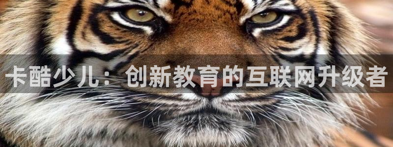 斗球直播体育下载：卡酷少儿：创新教育的互联网升级者