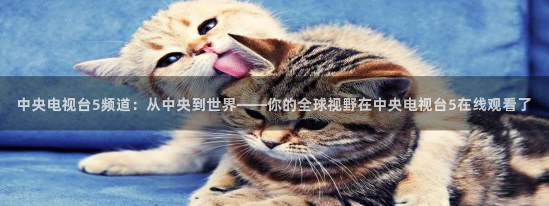 斗球体育直播官网：中央电视台5频道：从中央到世界——你的全球视野在中央电视台5在线观看了