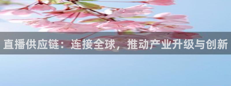 斗球体育直播app官网：直播供应链：连接全球，推动产业升级与创新